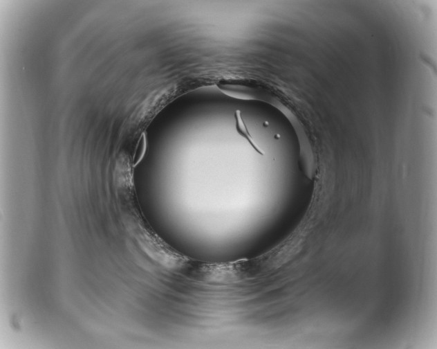 X0000100210384200805301331