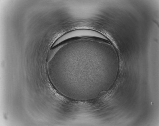 X0000100210385200805301330