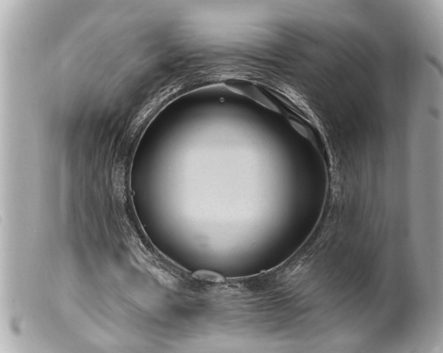 X0000100210386200805301330