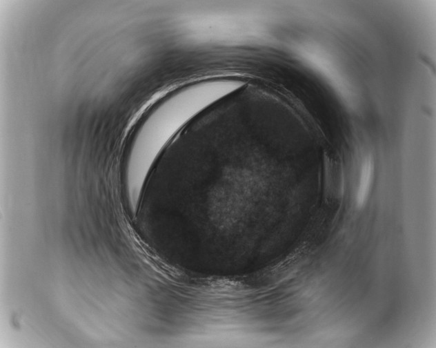 X0000100210387200805301330