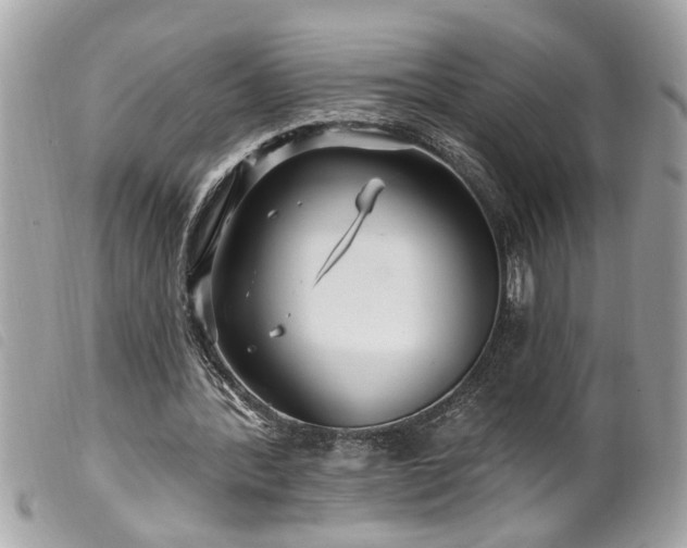 X0000100210388200805301330