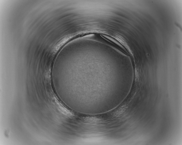 X0000100210389200805301330