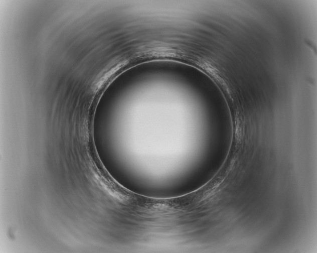 X0000100210390200805301330