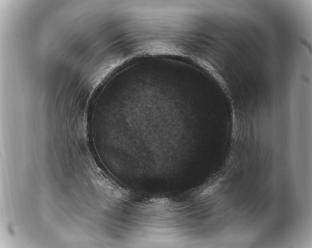 X0000100210391200805301330