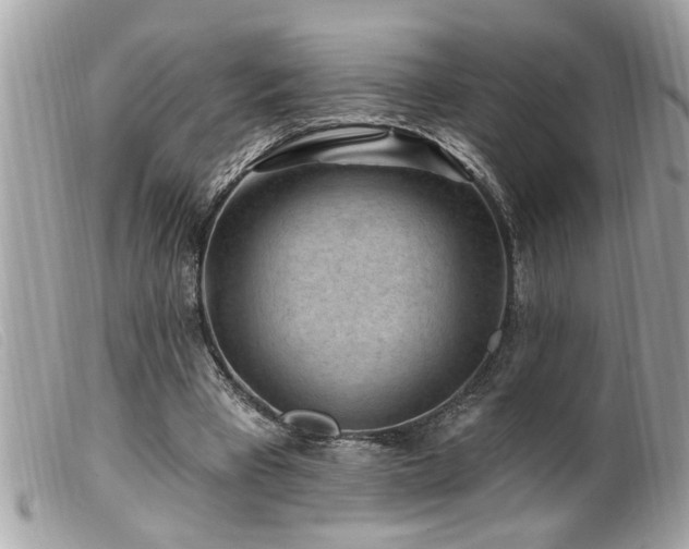 X0000100210393200805301330