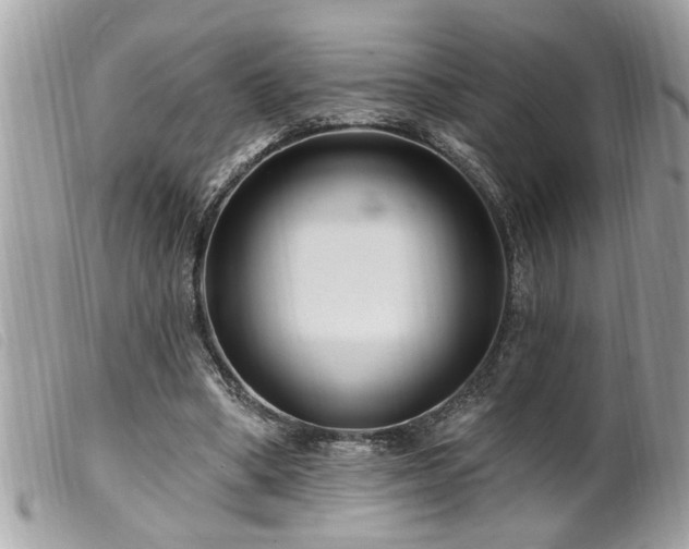 X0000100210394200805301330