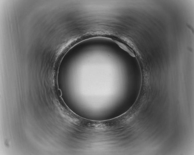 X0000100210395200805301330