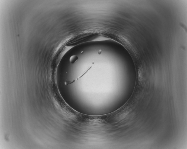 X0000100210396200805301330