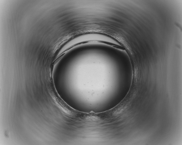 X0000100210397200805301330