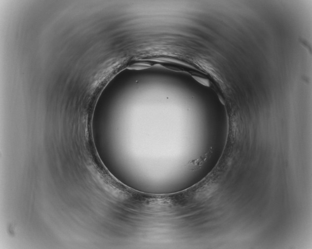 X0000100210398200805301330