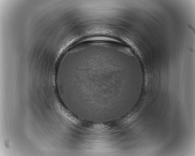 X0000100210399200805301330