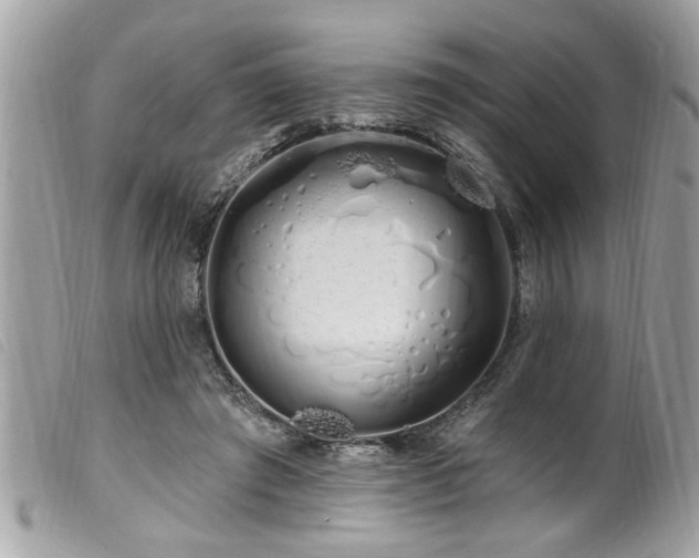 X0000100210401200805301330