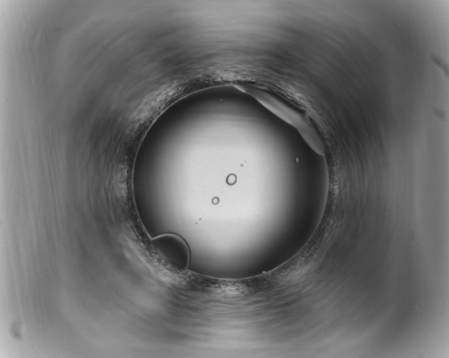 X0000100210402200805301330