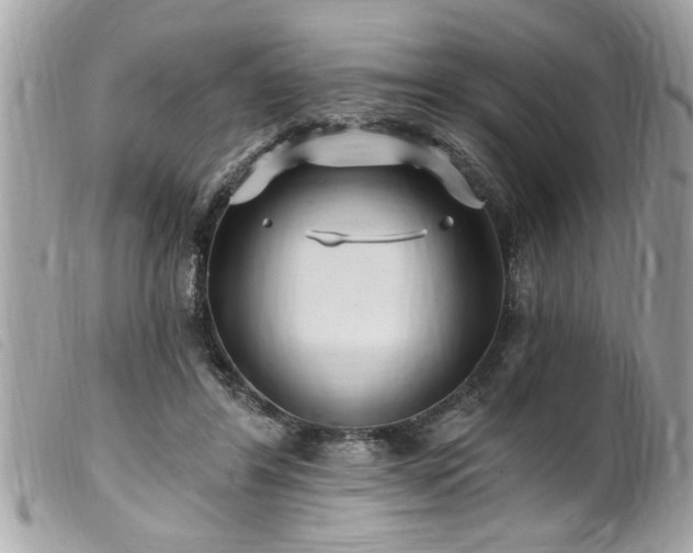 X0000100210404200805301330