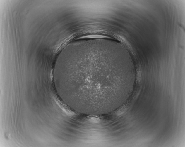 X0000100210405200805301330