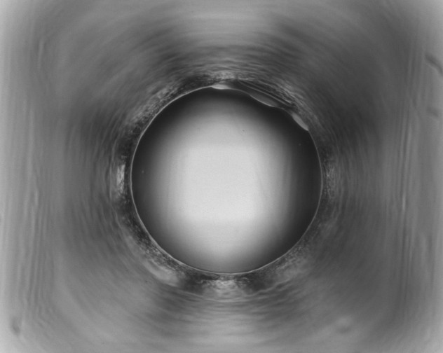 X0000100210406200805301330