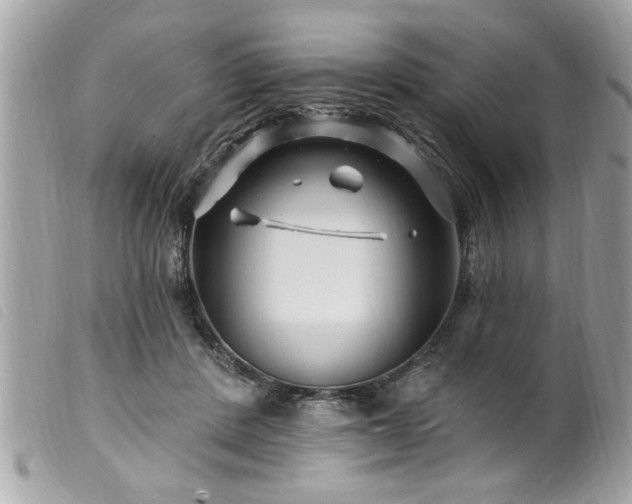 X0000100210408200805301330