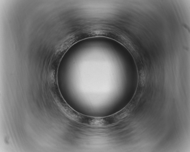 X0000100210410200805301330