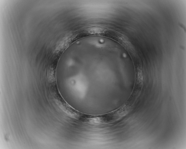 X0000100210411200805301330