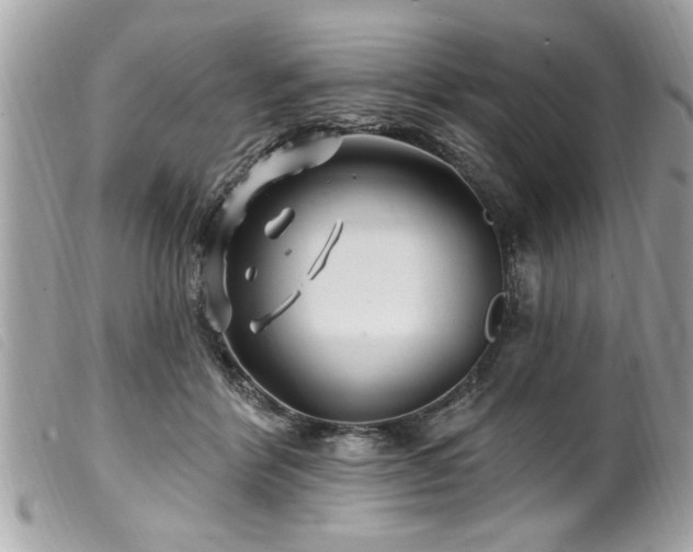 X0000100210412200805301330