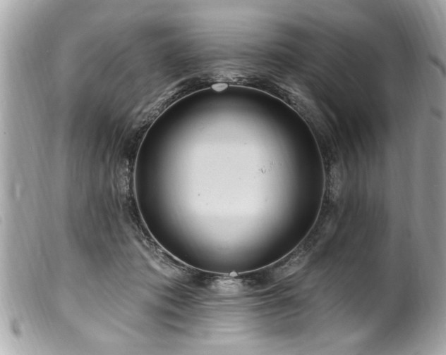 X0000100210413200805301330