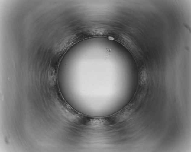 X0000100210414200805301330