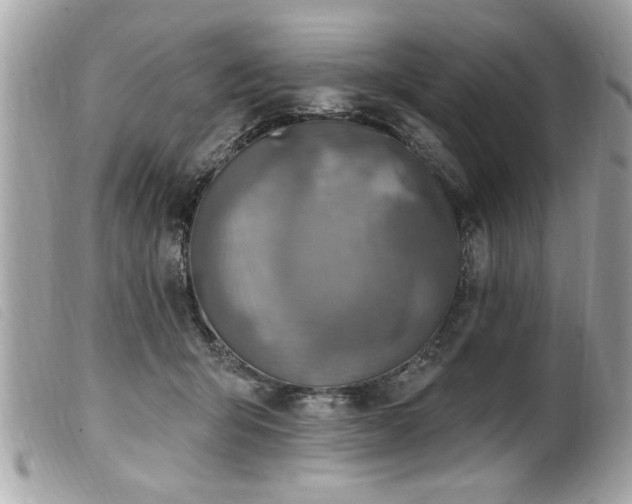 X0000100210415200805301330