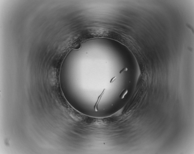 X0000100210416200805301330