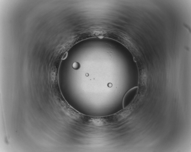 X0000100210417200805301330