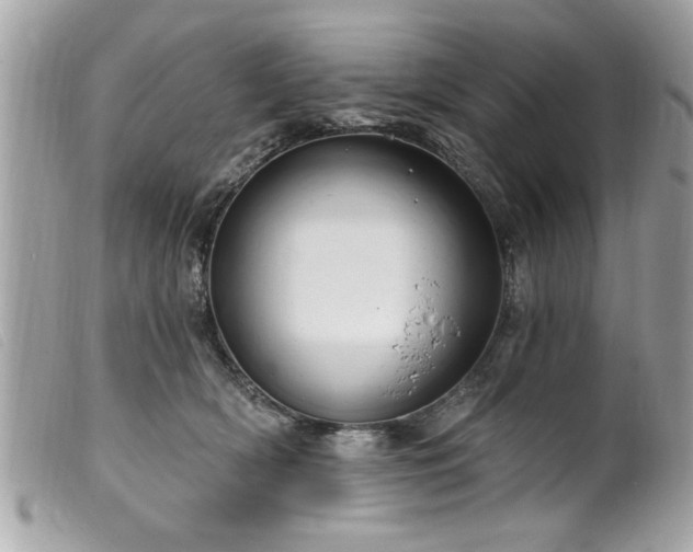 X0000100210418200805301330