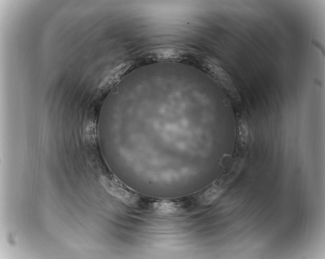 X0000100210419200805301330