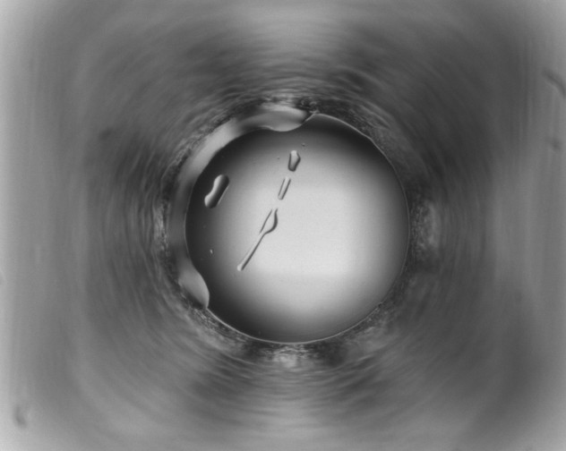 X0000100210420200805301330