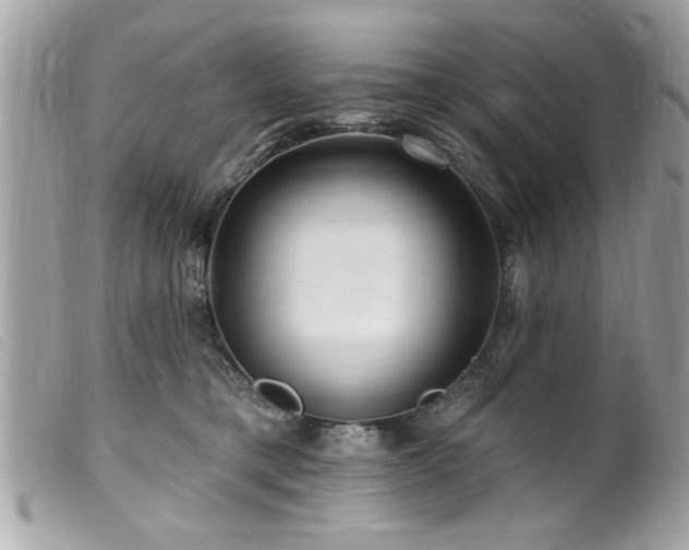 X0000100210421200805301330