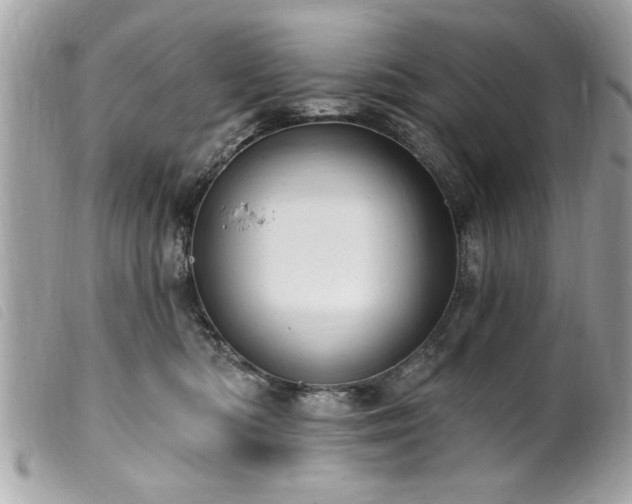 X0000100210422200805301330