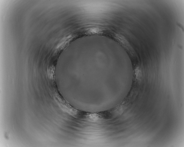 X0000100210423200805301330