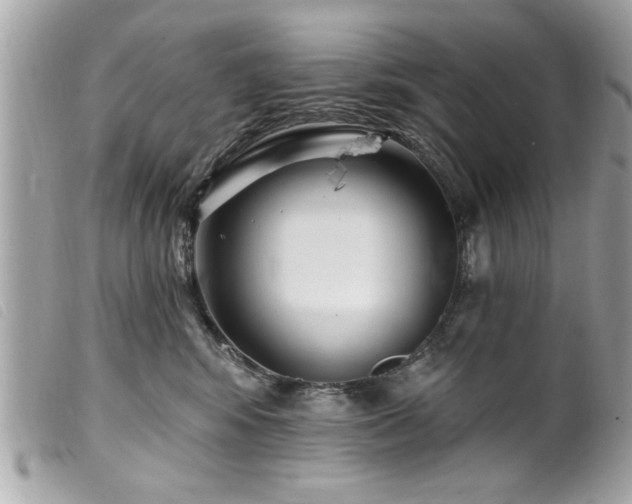 X0000100210424200805301330