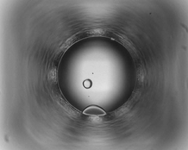 X0000100210425200805301330