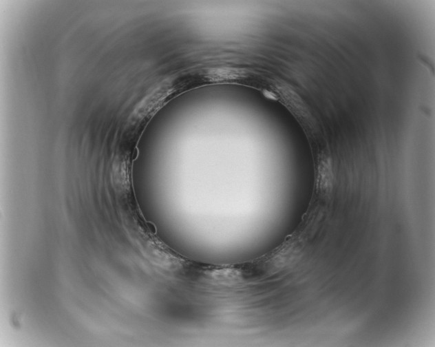 X0000100210426200805301330