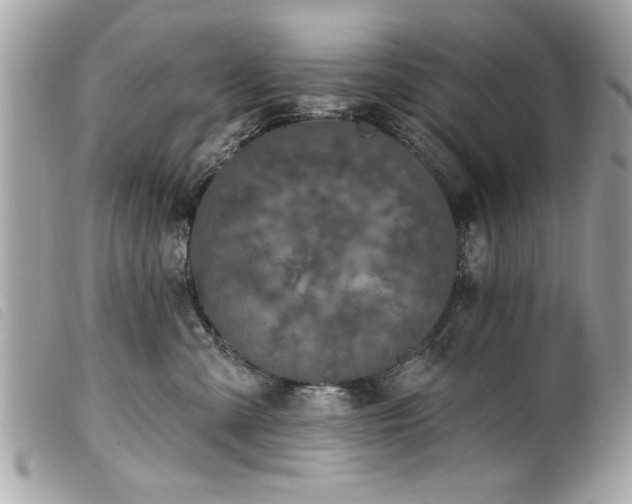 X0000100210427200805301330