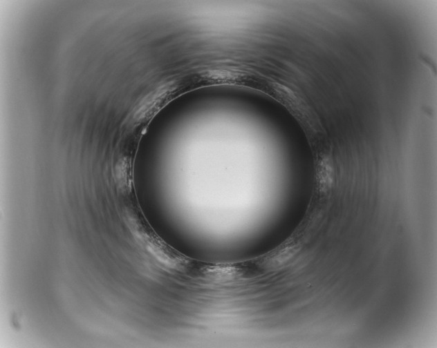 X0000100210428200805301330