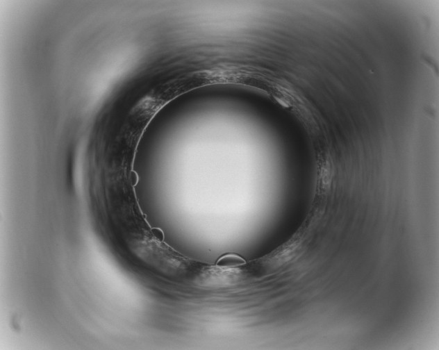 X0000100210429200805301330