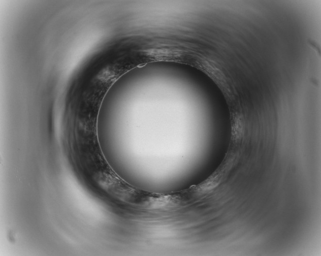 X0000100210430200805301330