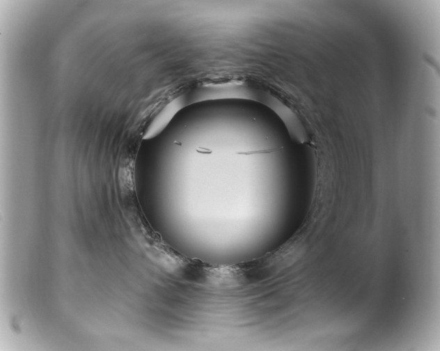 X0000100210432200805301329