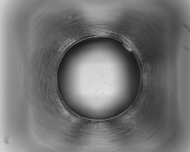 X0000100210433200805301329