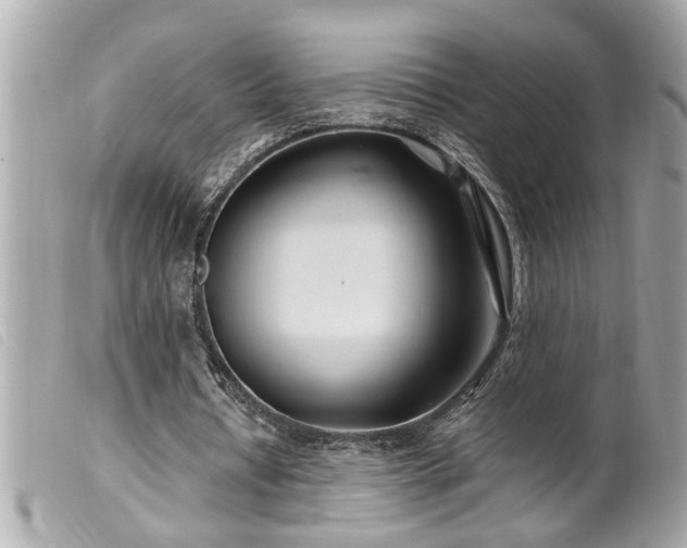 X0000100210434200805301329