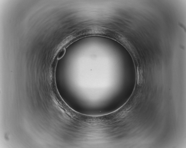 X0000100210435200805301329