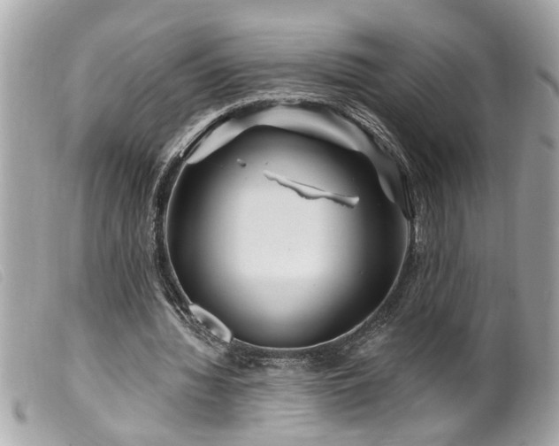 X0000100210436200805301329