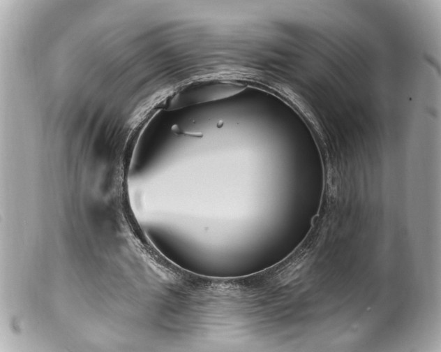 X0000100210437200805301329