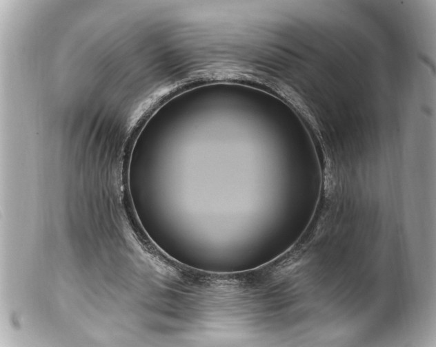 X0000100210438200805301329