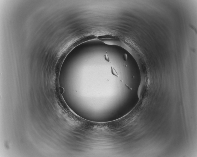 X0000100210440200805301329